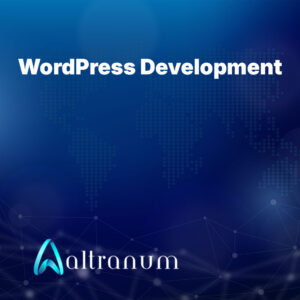WordPress Development - Basic Package
